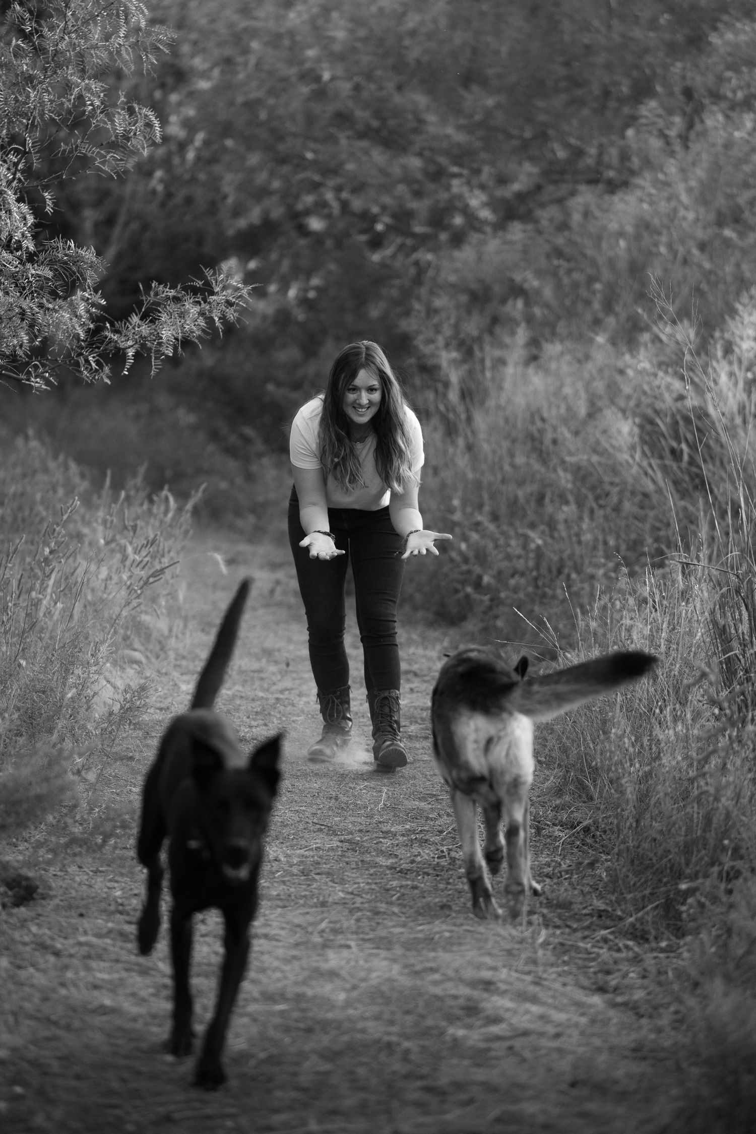 Oklahoma dog photographer