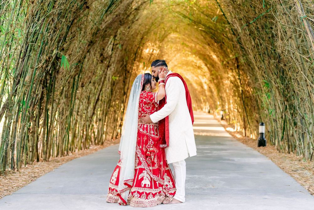 Romantic tunnel photo with lush greenery and a couple in traditional Indian wedding attire.