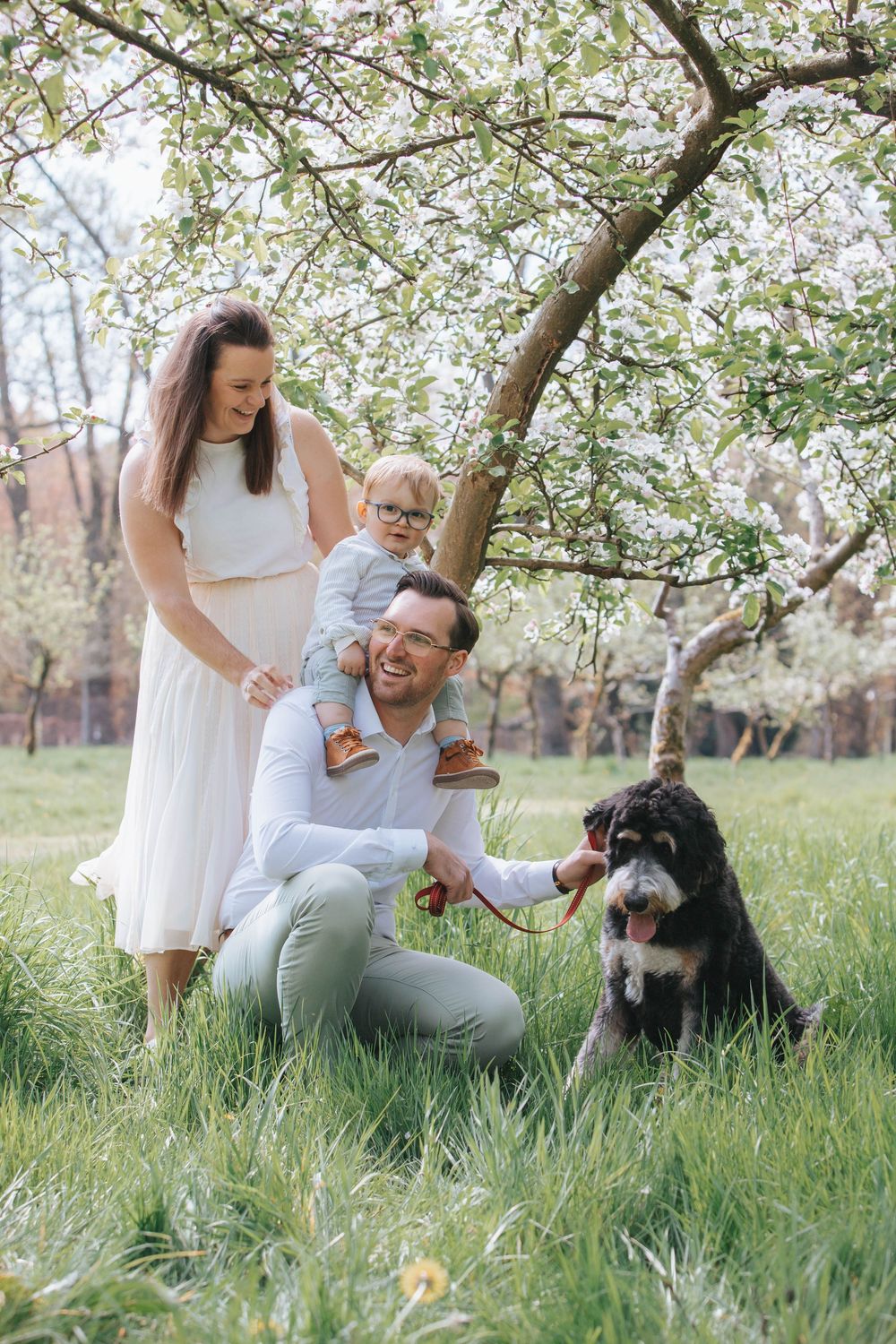 A family with their Bernese Mountain dog poses beneath blooming cherry trees in a spring meadow.