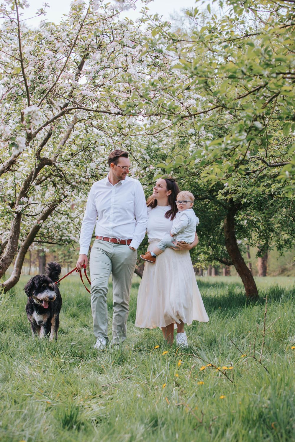 A family strolls through a blooming spring garden with their black dog as cherry blossoms bloom overhead.