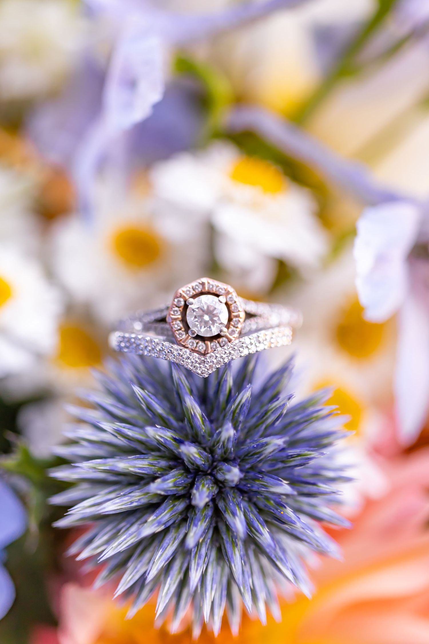 Nova Scotia wedding  Cape Breton