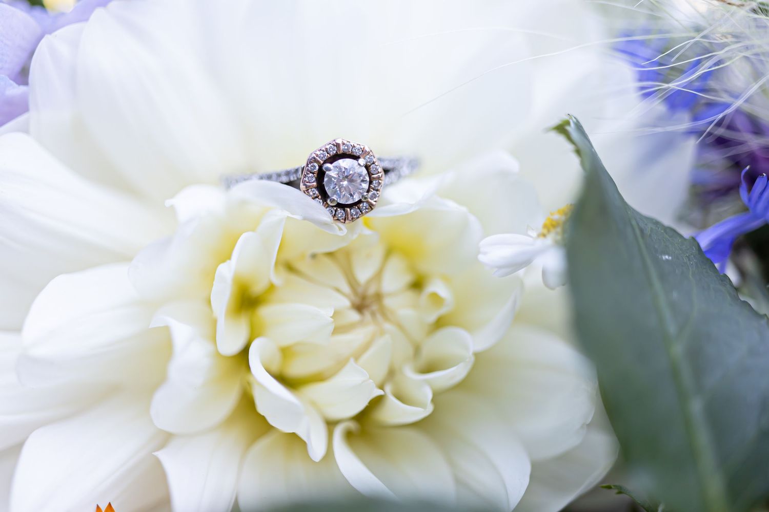 Nova Scotia wedding  Cape Breton