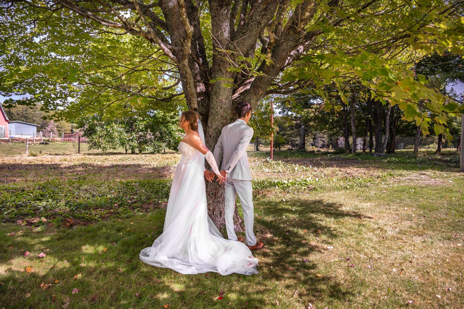 Nova Scotia wedding  Cape Breton