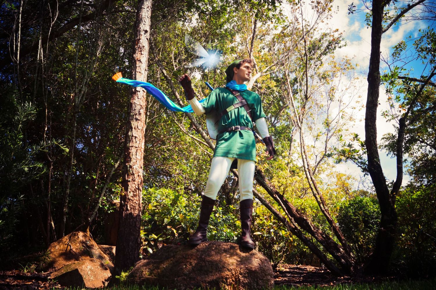 link from legend of zelda