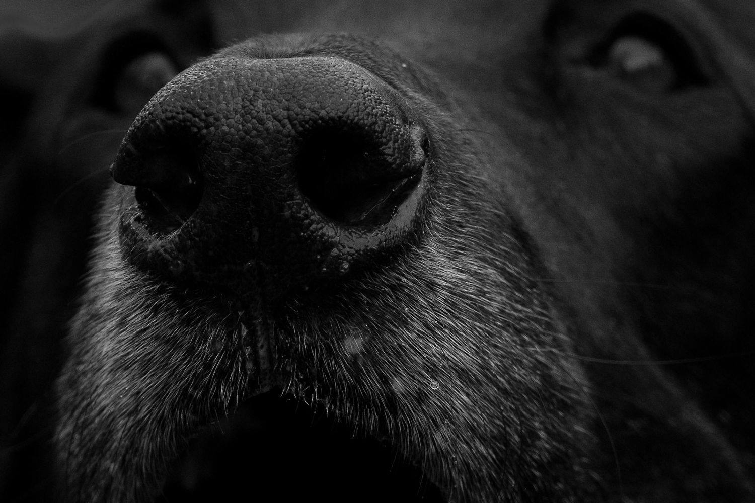 Forget Me Not Photography