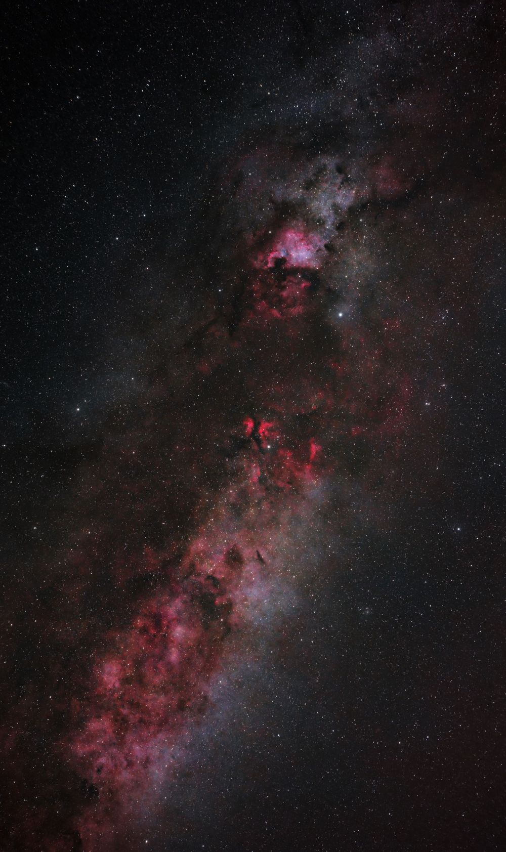 Cygnus