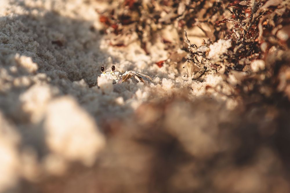 Abstract macro shot of sandy textures with dramatic shadows and light.