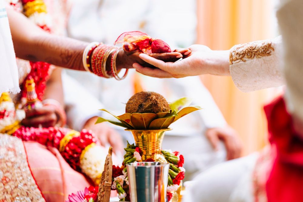 Indian wedding ceremony  bride holds a coconut in her hands during the Kanya Thaanam ritual, which is when the bride's parents give her away