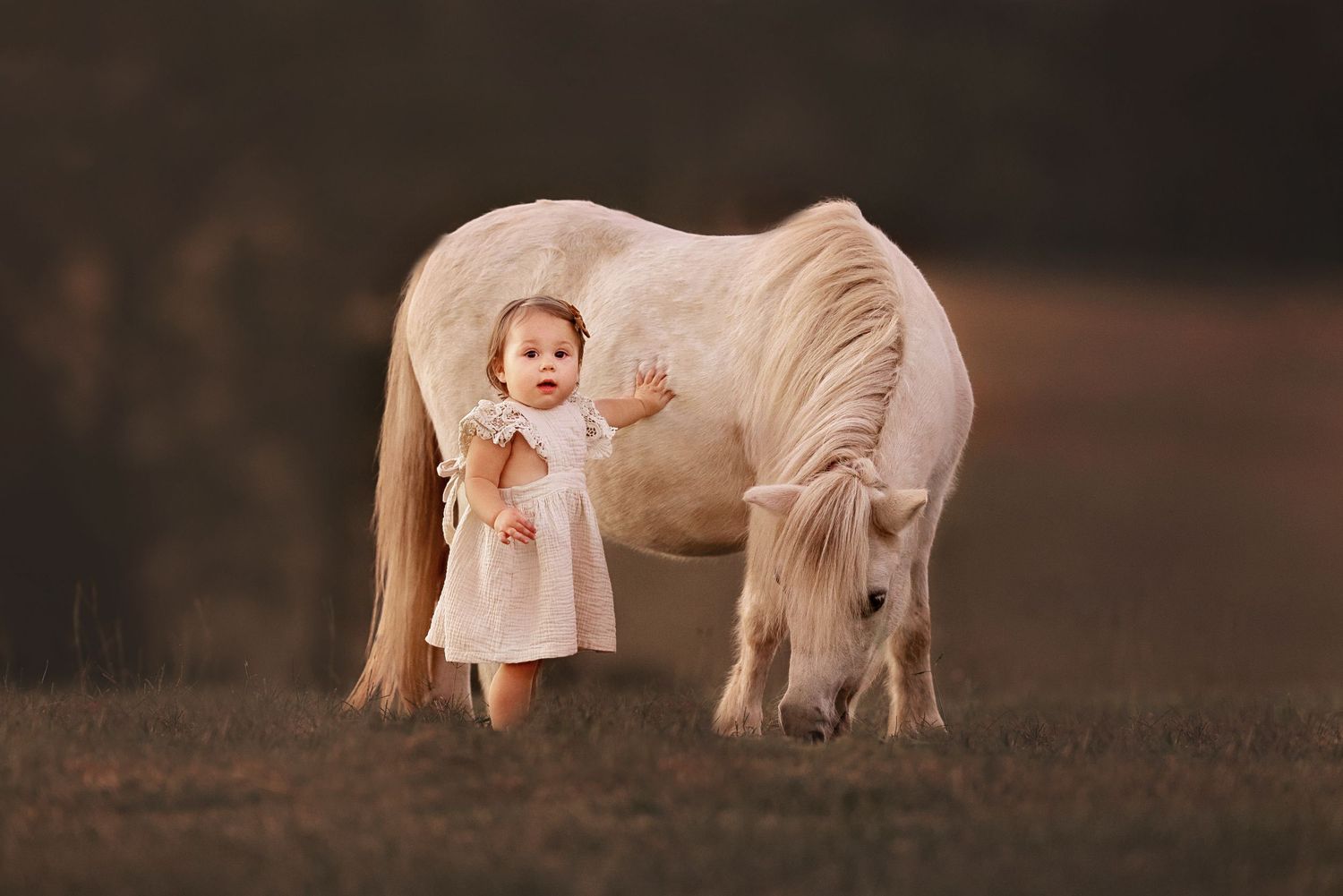 A white pony grazes in a field at sunset while a small child in a white dress stands nearby.