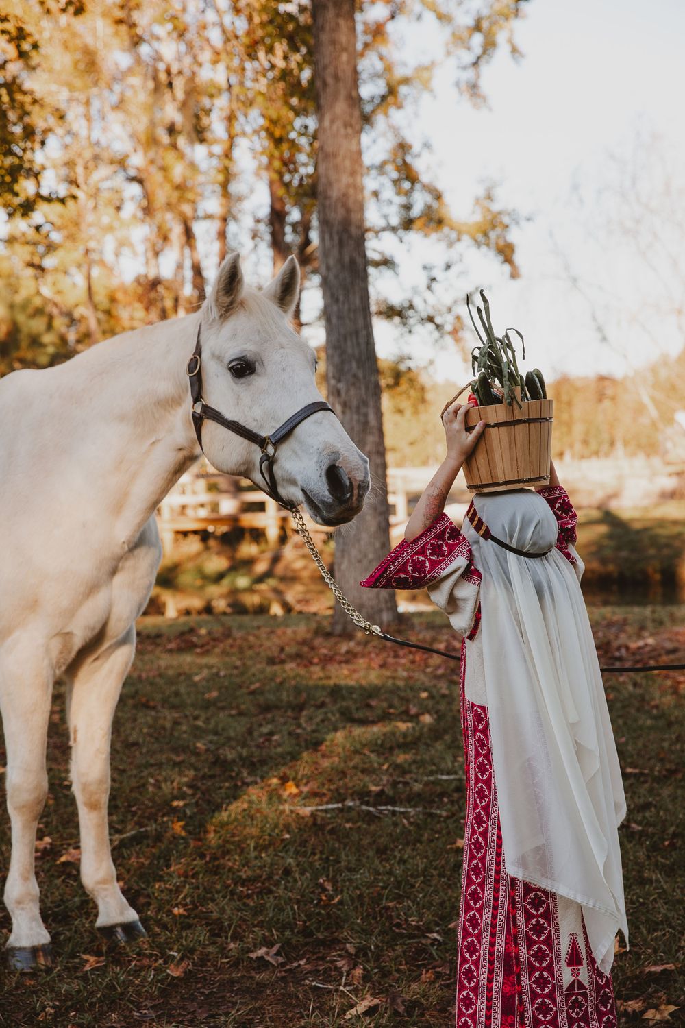 Charleston photographer does unique session with child and horse