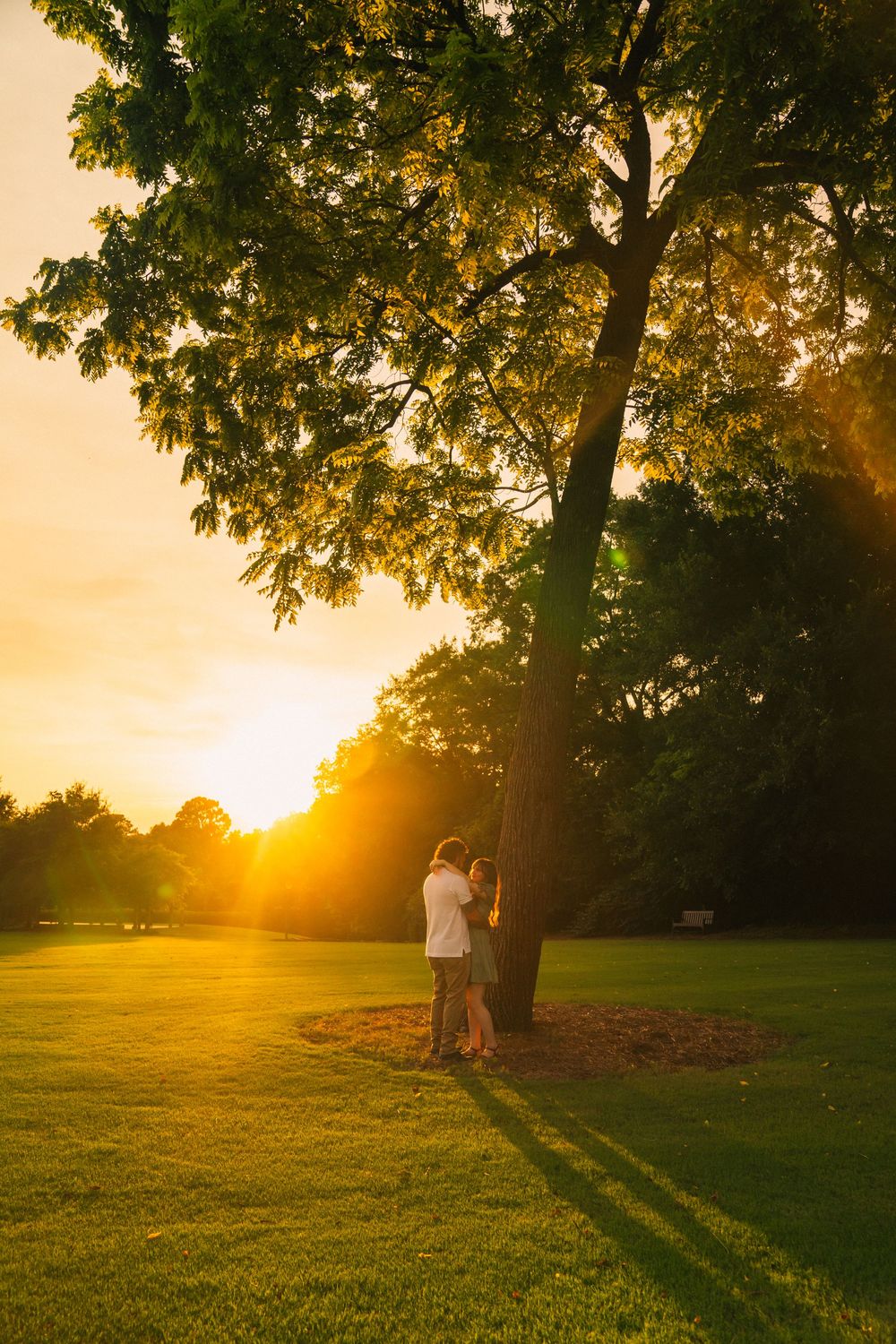 Two people embrace under a large tree at sunset in a grassy park as golden sunlight streams through the branches.
