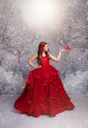 Warrenton, VA dream dress photoshoot