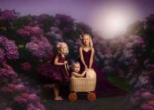 Warrenton, VA dream dress photoshoot