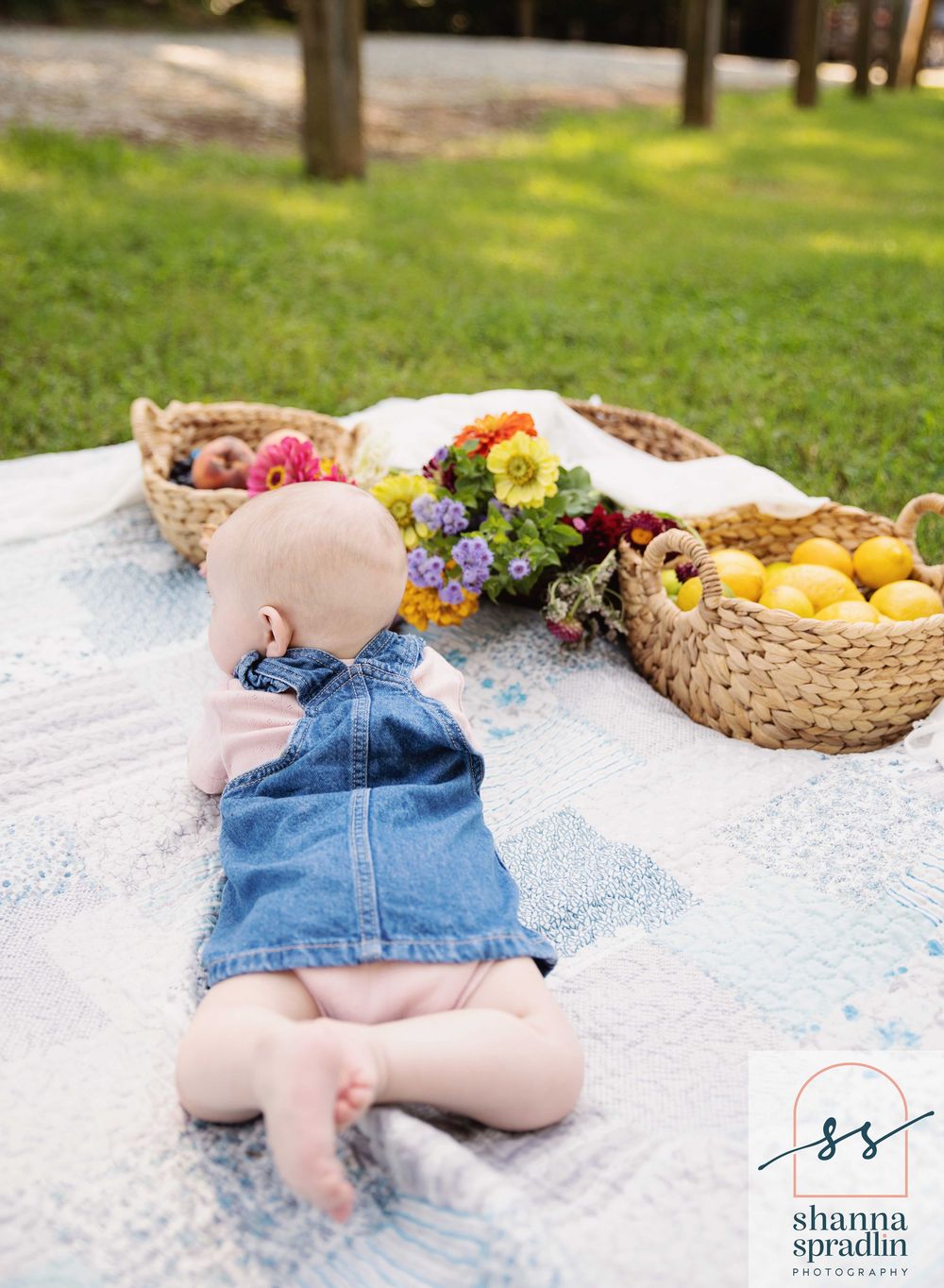 Picnic in the park
