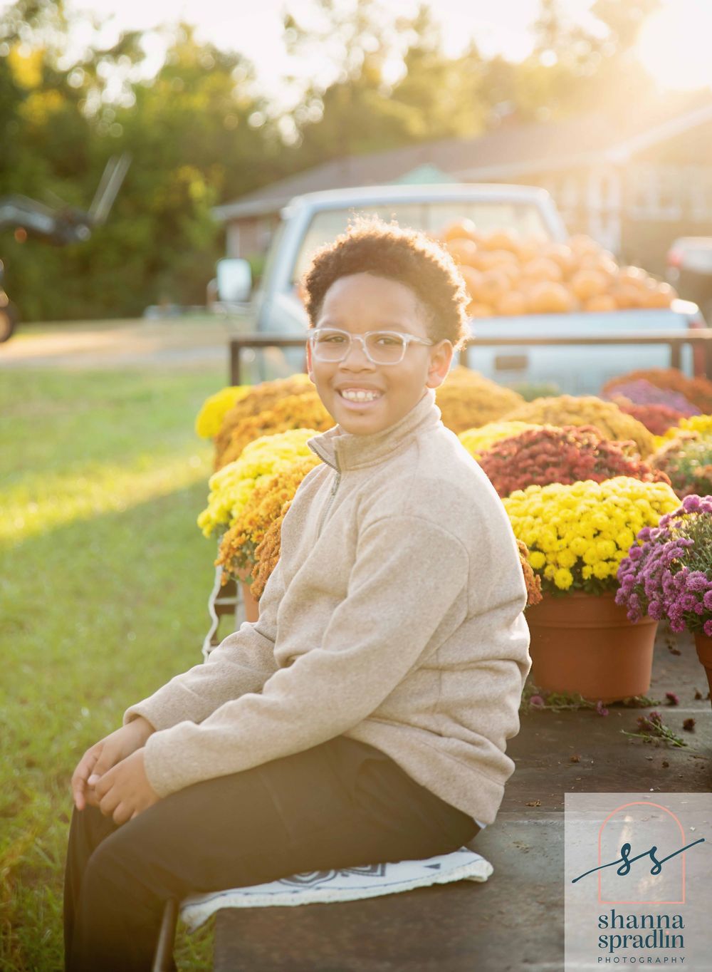 Mums and Pumpkins