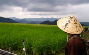 Scenic mountain landscape with rice paddies in the foreground and traditional conical hat visible.
