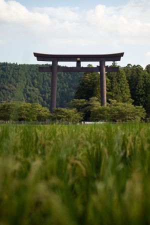 Large torii gate silhouetted against green grass and mountain landscape.