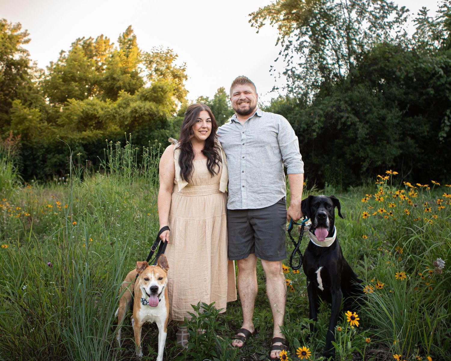 A couple stands in a wildflower field at sunset with their two dogs.