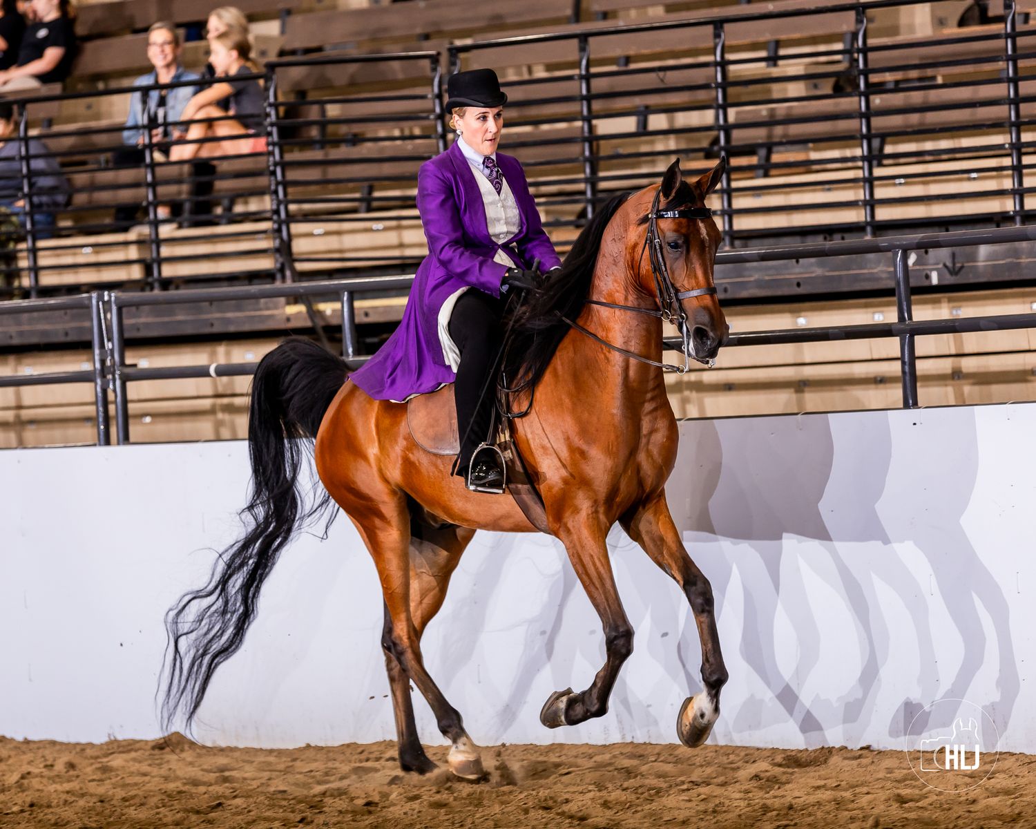 Beautiful dapple gray show horse performing in arena with decorated western tack.