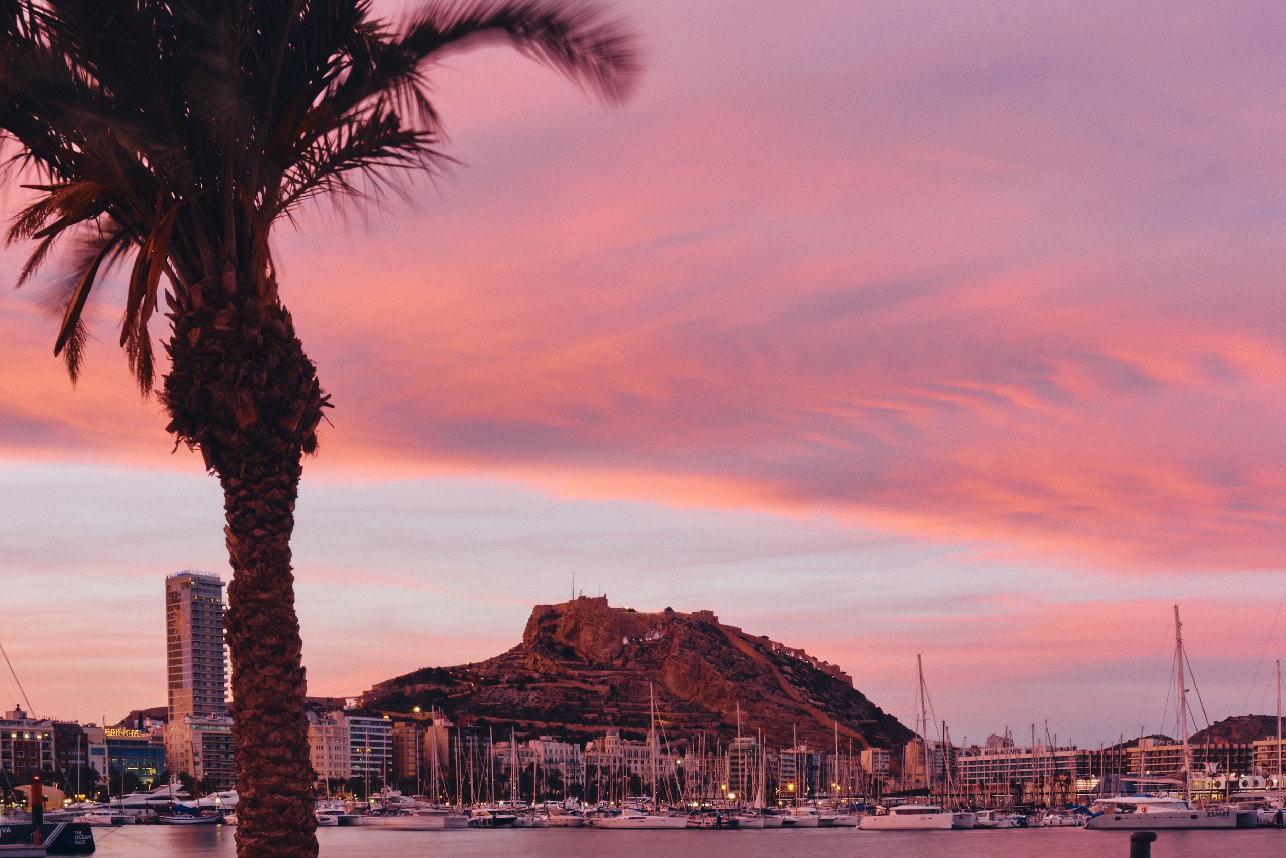 Palm tree silhouetted against vibrant pink sunset sky over marina with castle-topped hill in Alicante.