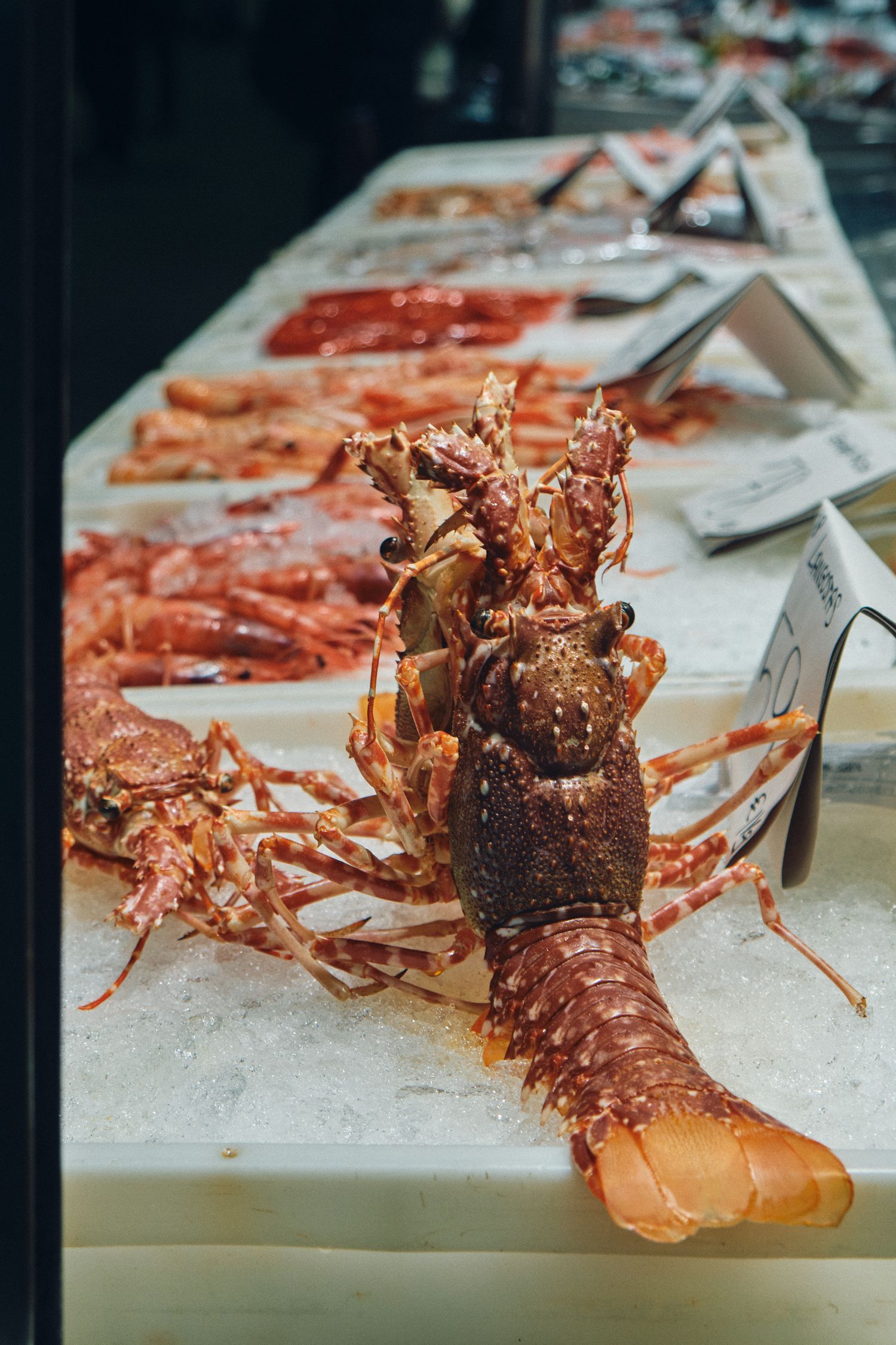 Fresh whole lobster displayed on ice at fish market counter.