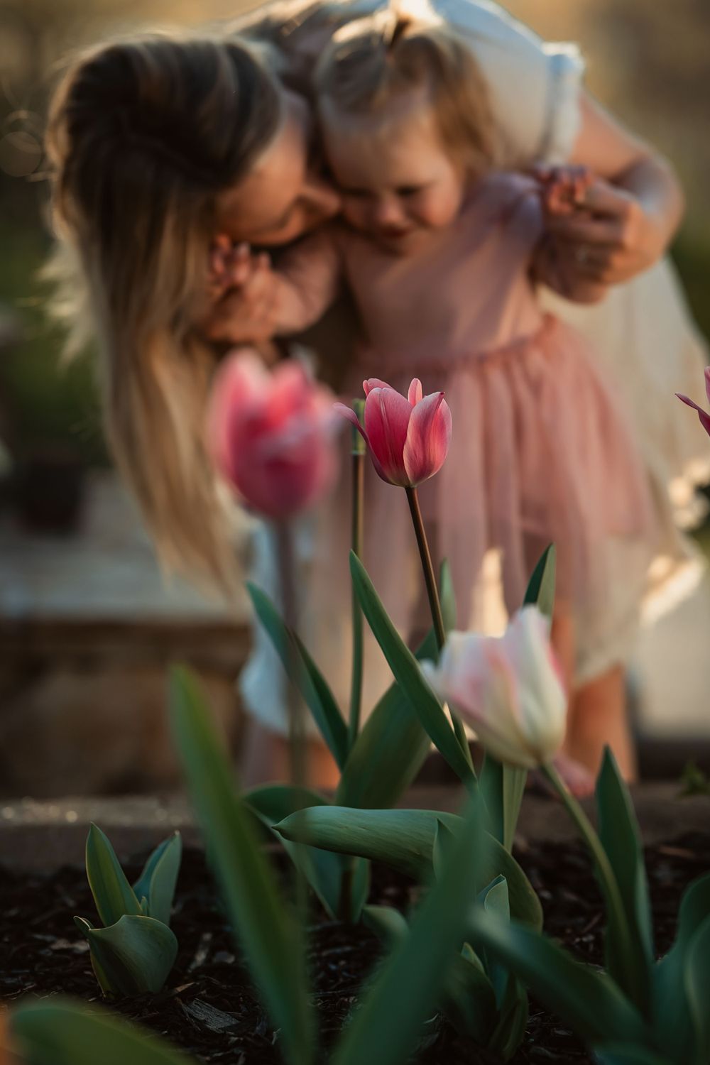 close up of pin and white tulips in a garden with mother kissing young daughter on the cheek in the background
