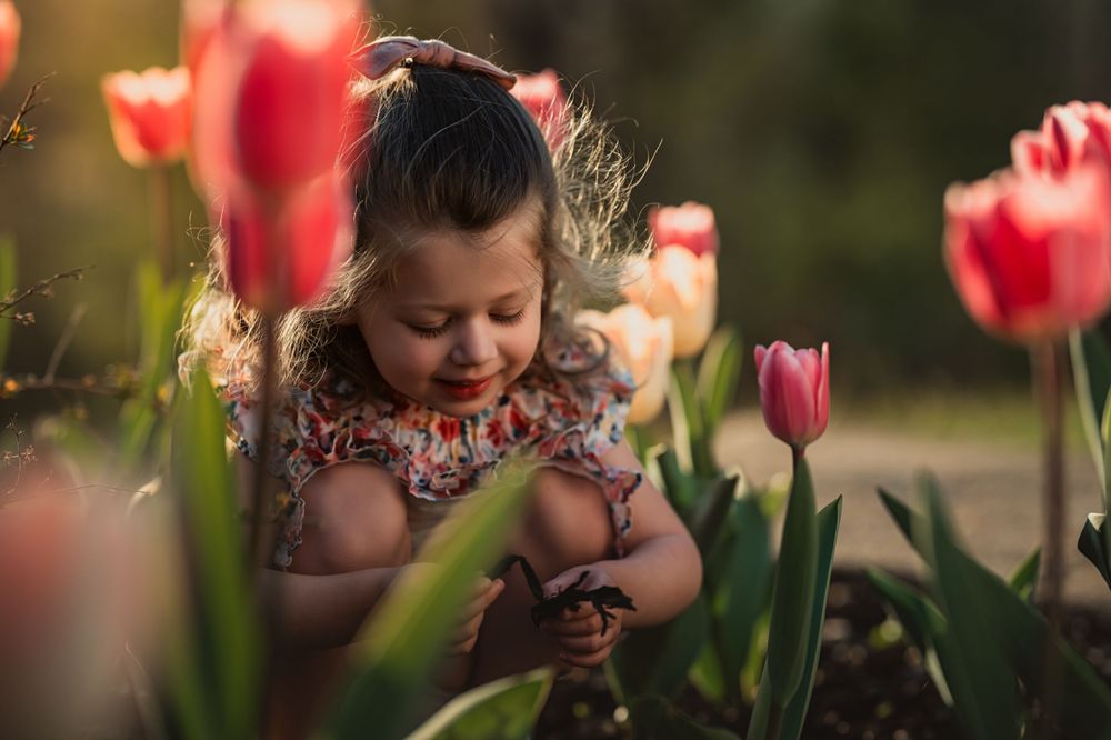 little girl crouches among tulips to examine something she found on the ground