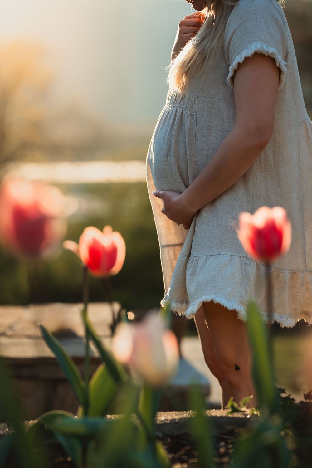shoulders down view of woman holding her pregnant belly standing behind tulips at sunset