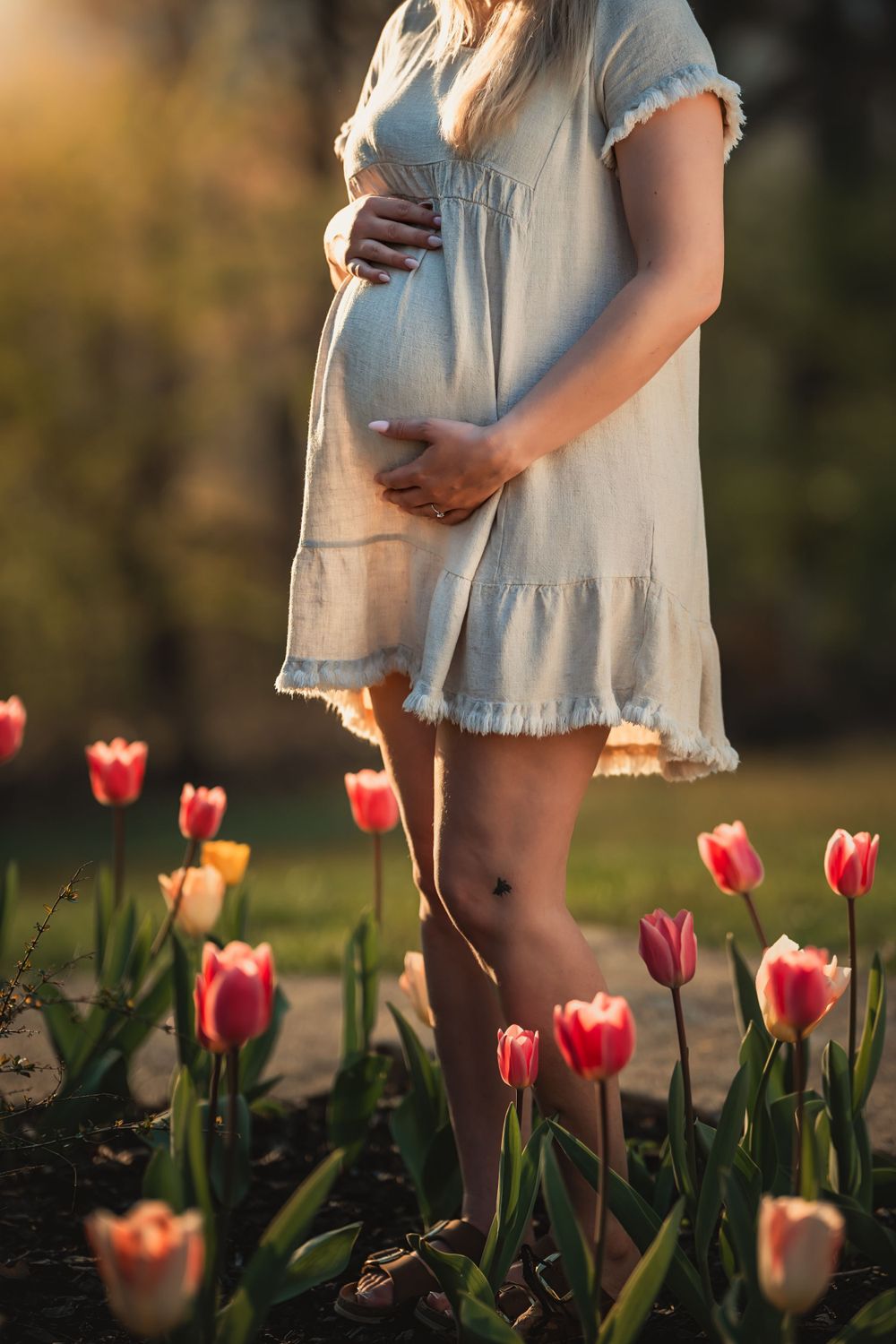 shoulers down view of pregnant woman hugging baby bump in short linen dress in a bed of tulips