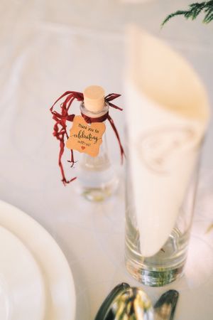 Fotograf za vencanja Srbija Novi Sad  
Wedding photographer Serbia
Dekoracija i detalji na vencanju 
Ljubav na salasu
Wedding session