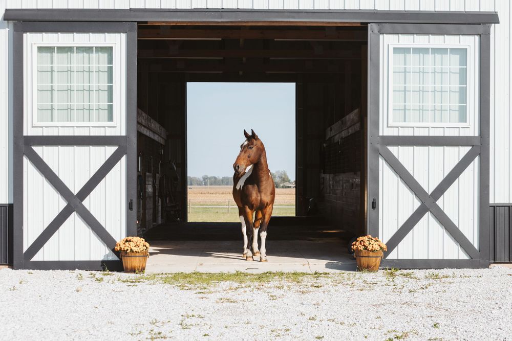 Modern white horse barn with black trim and multiple stall doors.