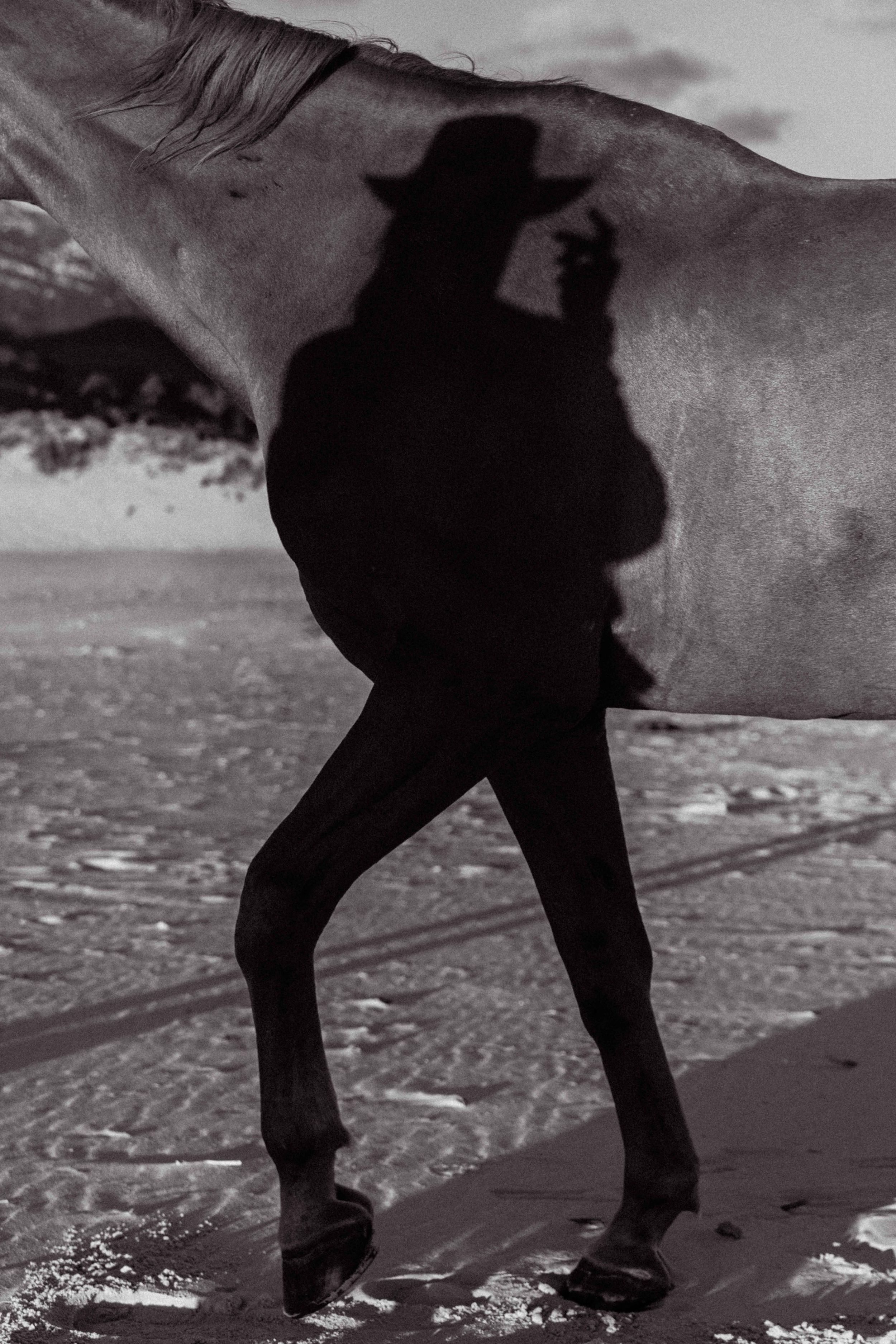 A dramatic black silhouette of a figure posing on a beach against ocean waves.