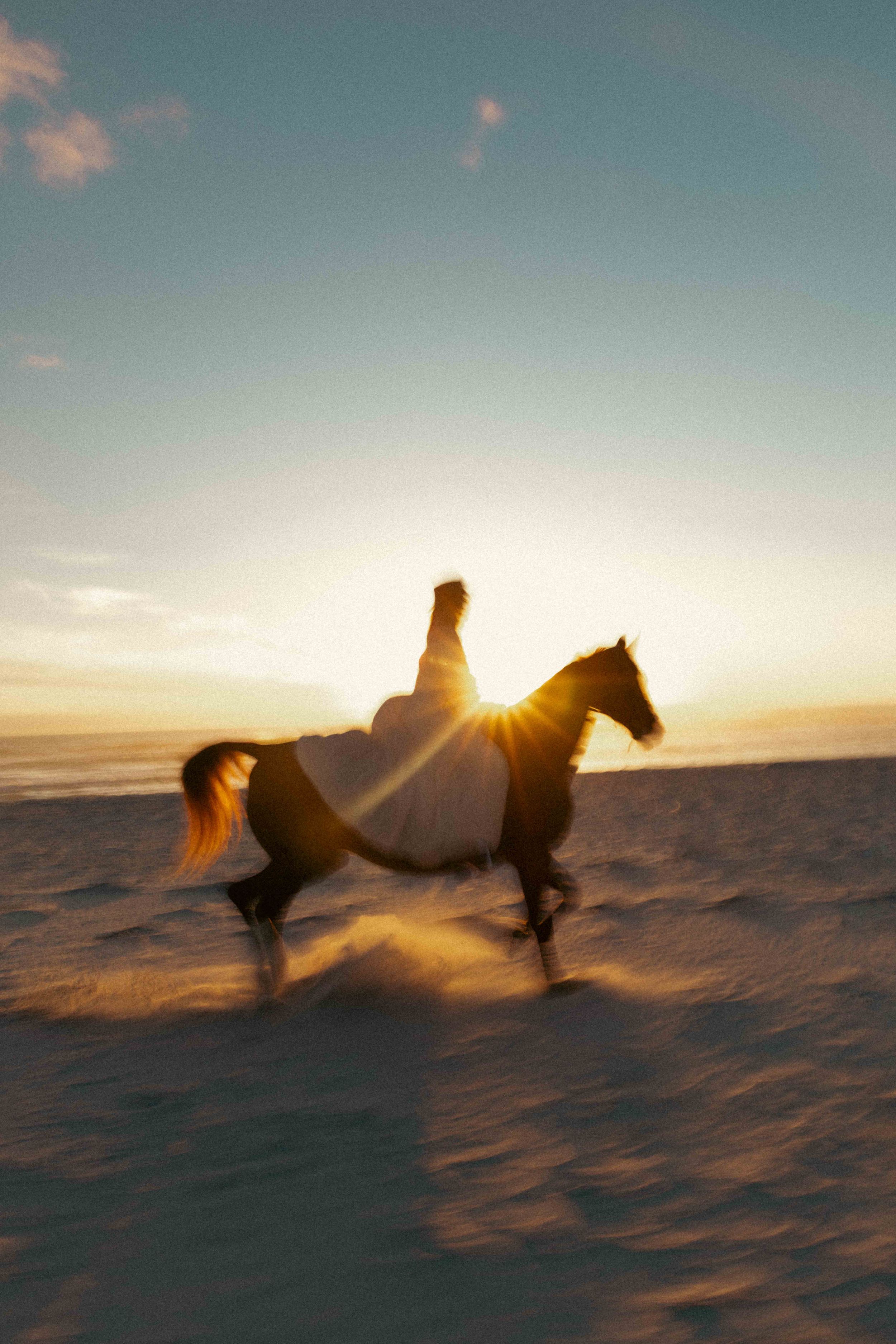 A silhouetted figure rides horseback along a beach at sunset, creating a dramatic golden glow in the sand.