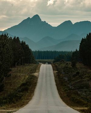 Long straight road leading to distant mountain peaks through forested landscape.