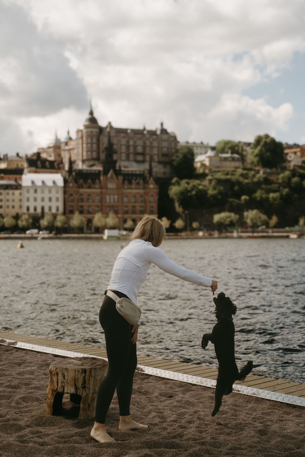 a woman plays with her dog with views of Stockholm behind her during brand photoshoot in Stockholm