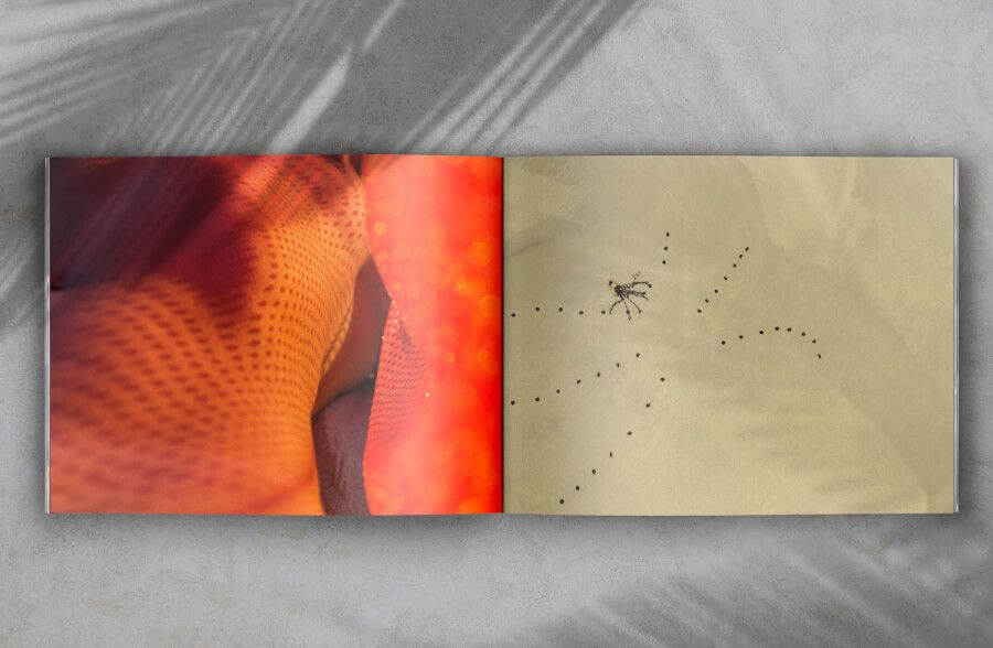 Art book spread featuring orange tinted abstract pattern next to minimalist composition with dotted lines.