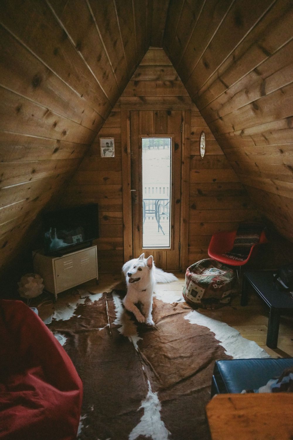 Shandra Fleming Photography.