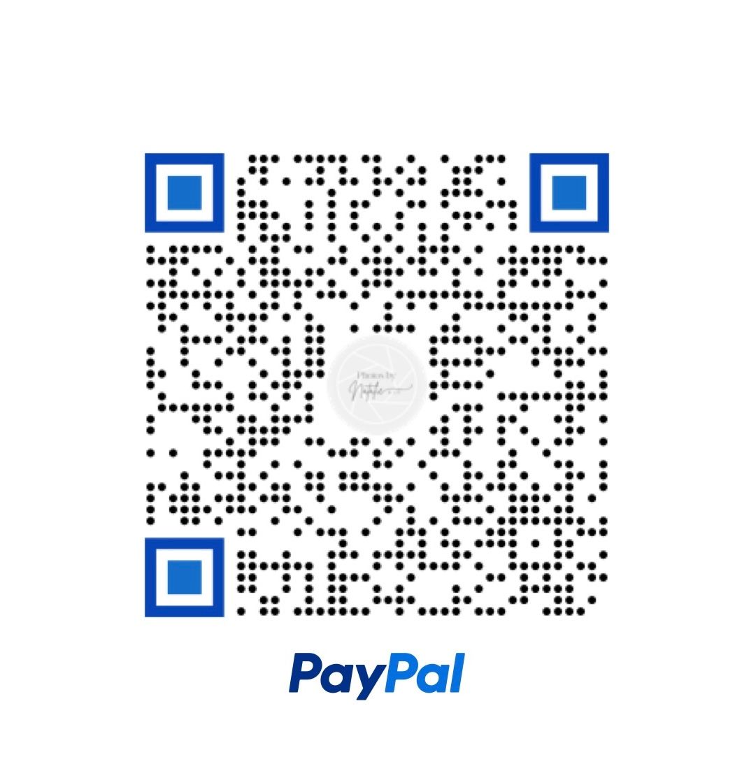 PayPal QR code with blue corners on white background for digital payment scanning.