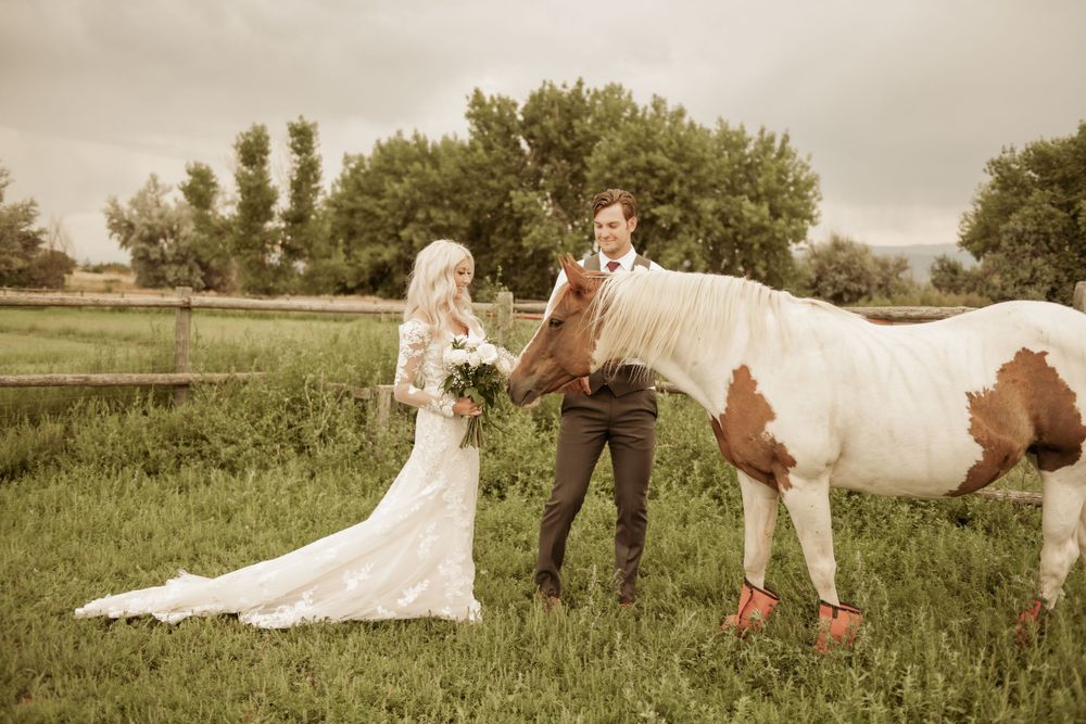 Bride and groom pose with paint horse in rustic outdoor wedding setting.