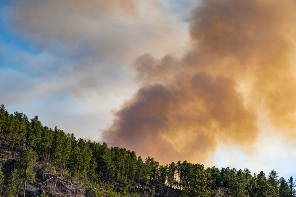 Orange smoke clouds rise above pine forest treeline during sunset.