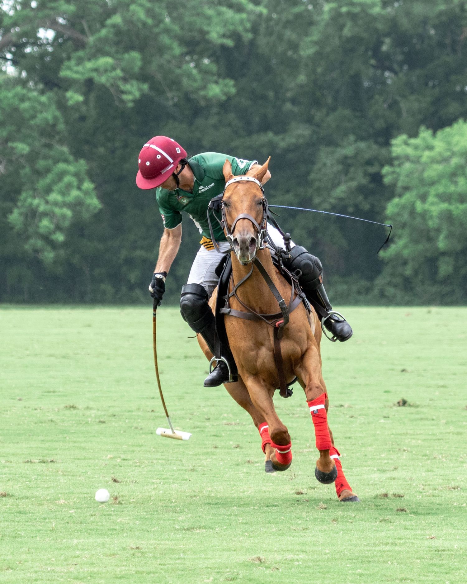 Polo