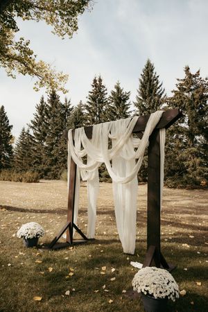 Rustic wooden wedding arch draped with white fabric, flanked by white chrysanthemums, set outdoors among evergreen trees in autumn.