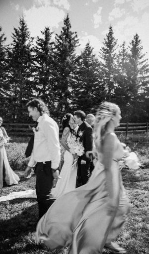 Wedding party walking through a field with tall pine trees in black and white photography.