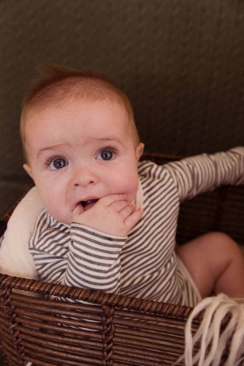 baby in a basket