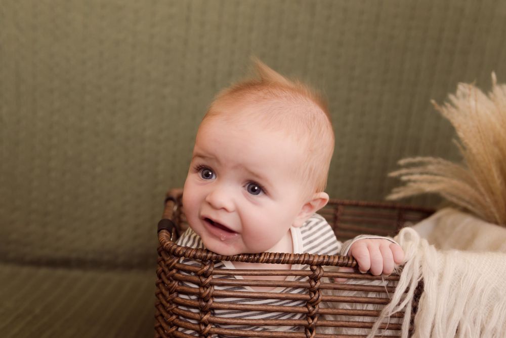 Baby in a basket