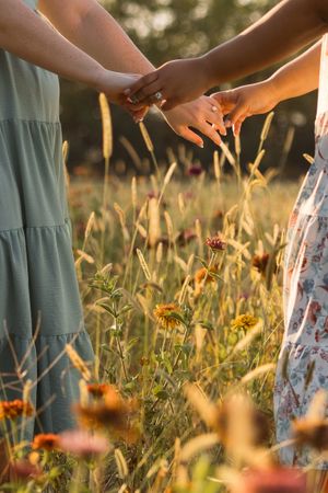 Close-up of hands holding in a meadow filled with colorful wildflowers.