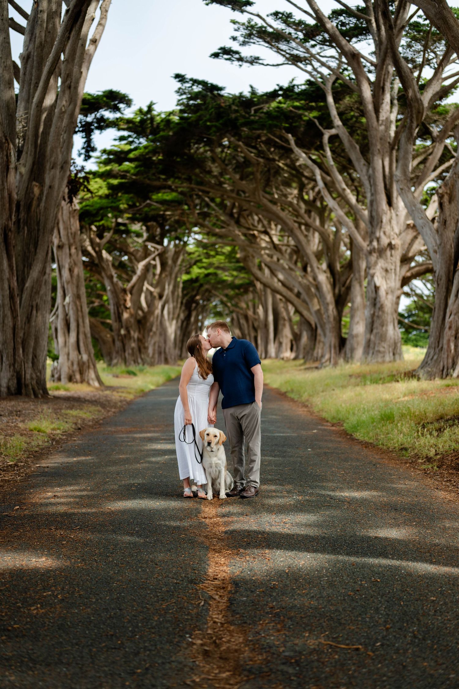 Couple kissing in a tree-lined cypress road in Point Reyes National Seashore park with their dog smiling between them.