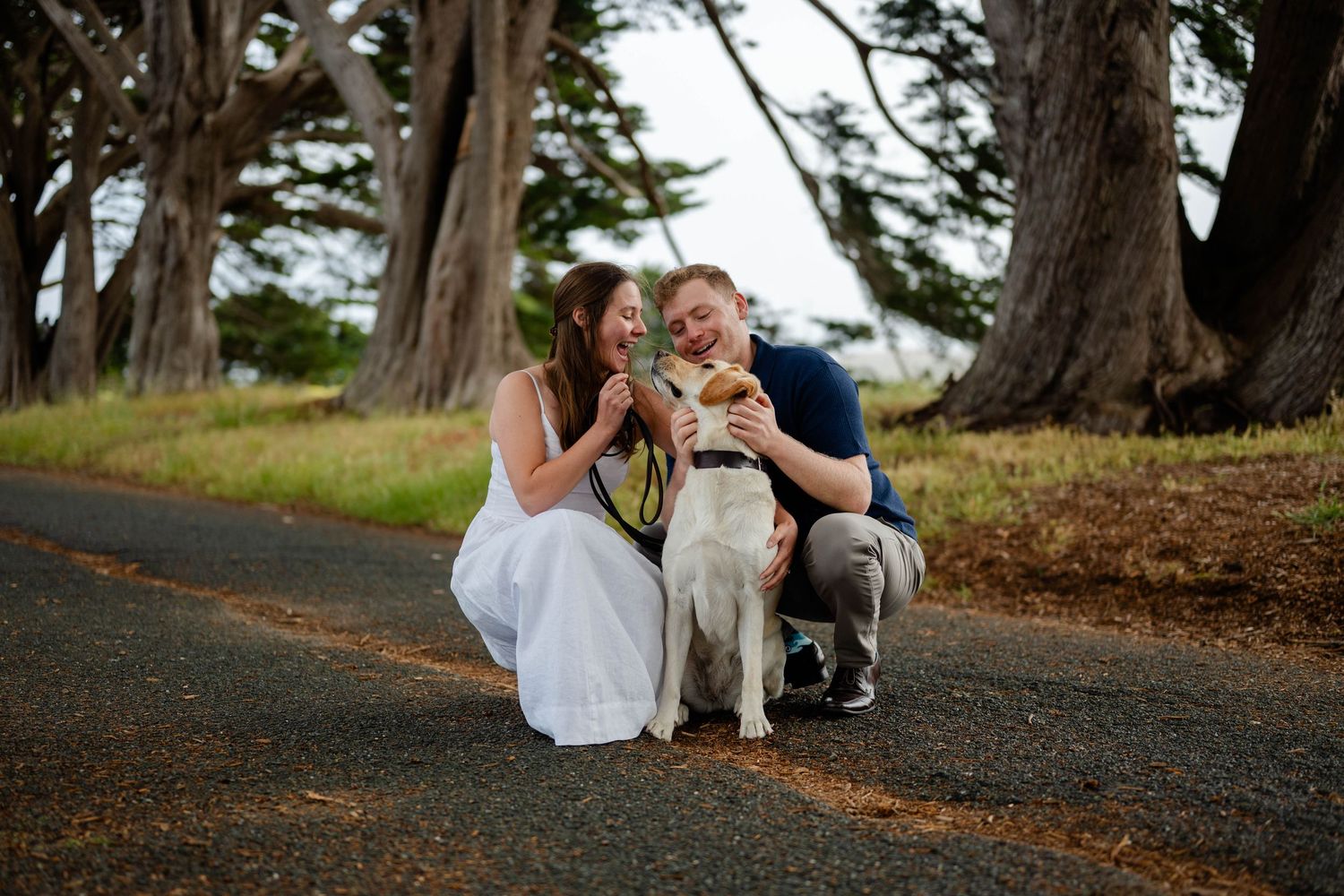 A couple sits together smiling at their Labrador retreiver on a path surrounded by tall trees during a romantic outdoor photo session.