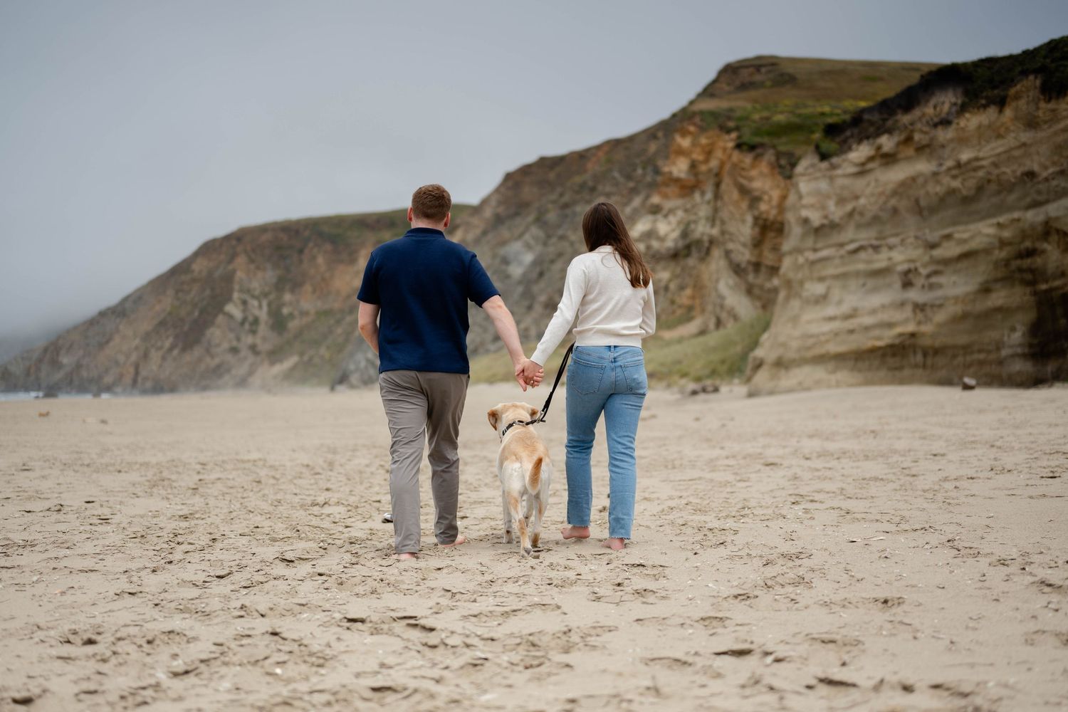 A couple during their engagement photoshoot and their lab walk together along a scenic beach with rugged cliffs in the background.