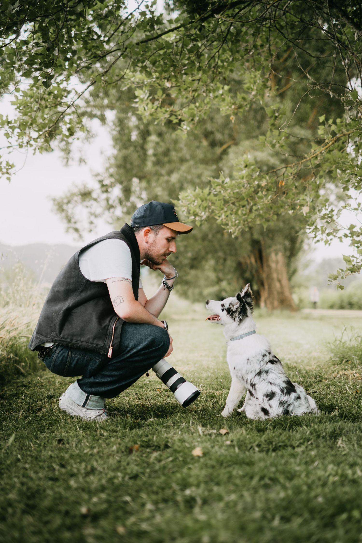 foto; fotografia; cane; fotografo; fotografo Firenze; Firenze; dog; dog photographer; photo; fotografo di cani; fotografo cani; cane;
